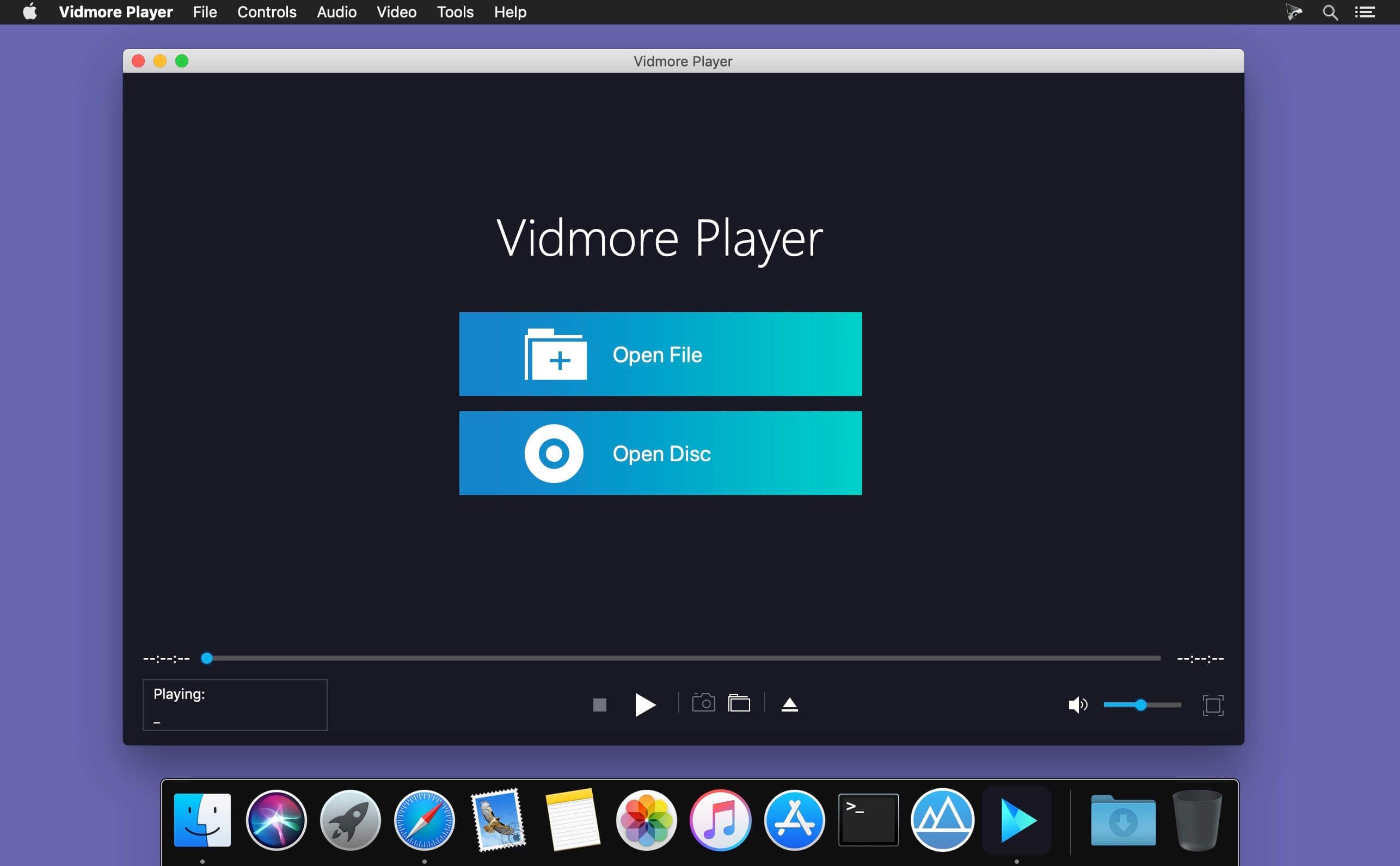Vidmore Player screenshot 1